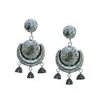 *Серебристые латунные индийские серьги с бисером